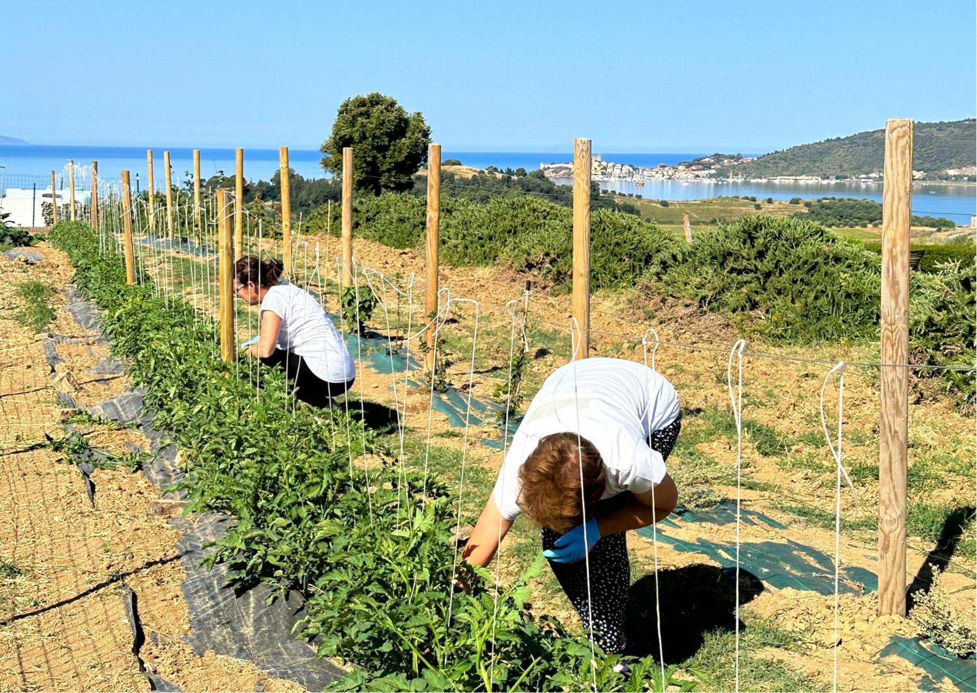 Agriturismo La Vista - Adults Only Fonteblanda Εξωτερικό φωτογραφία