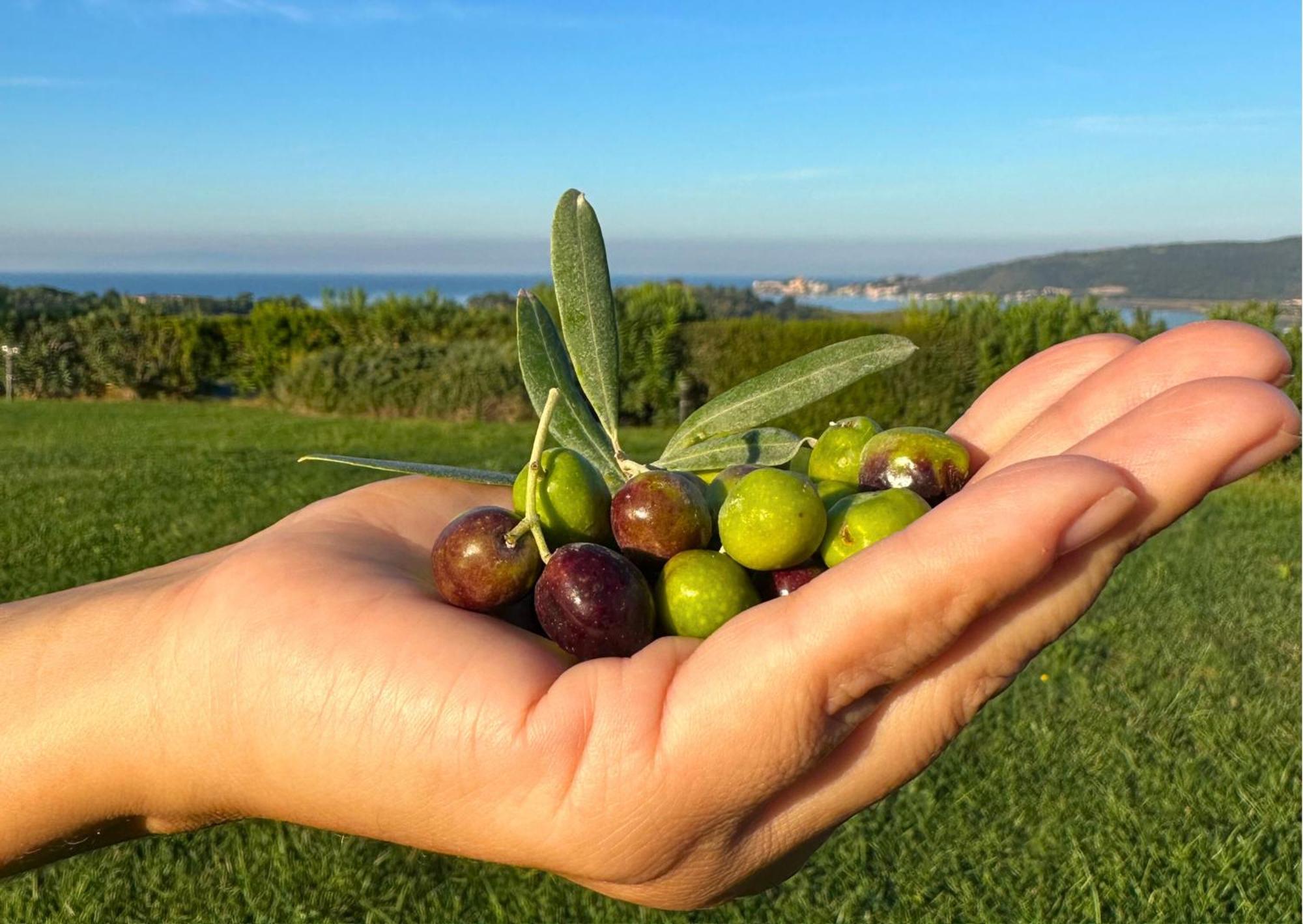 Agriturismo La Vista - Adults Only Fonteblanda Εξωτερικό φωτογραφία
