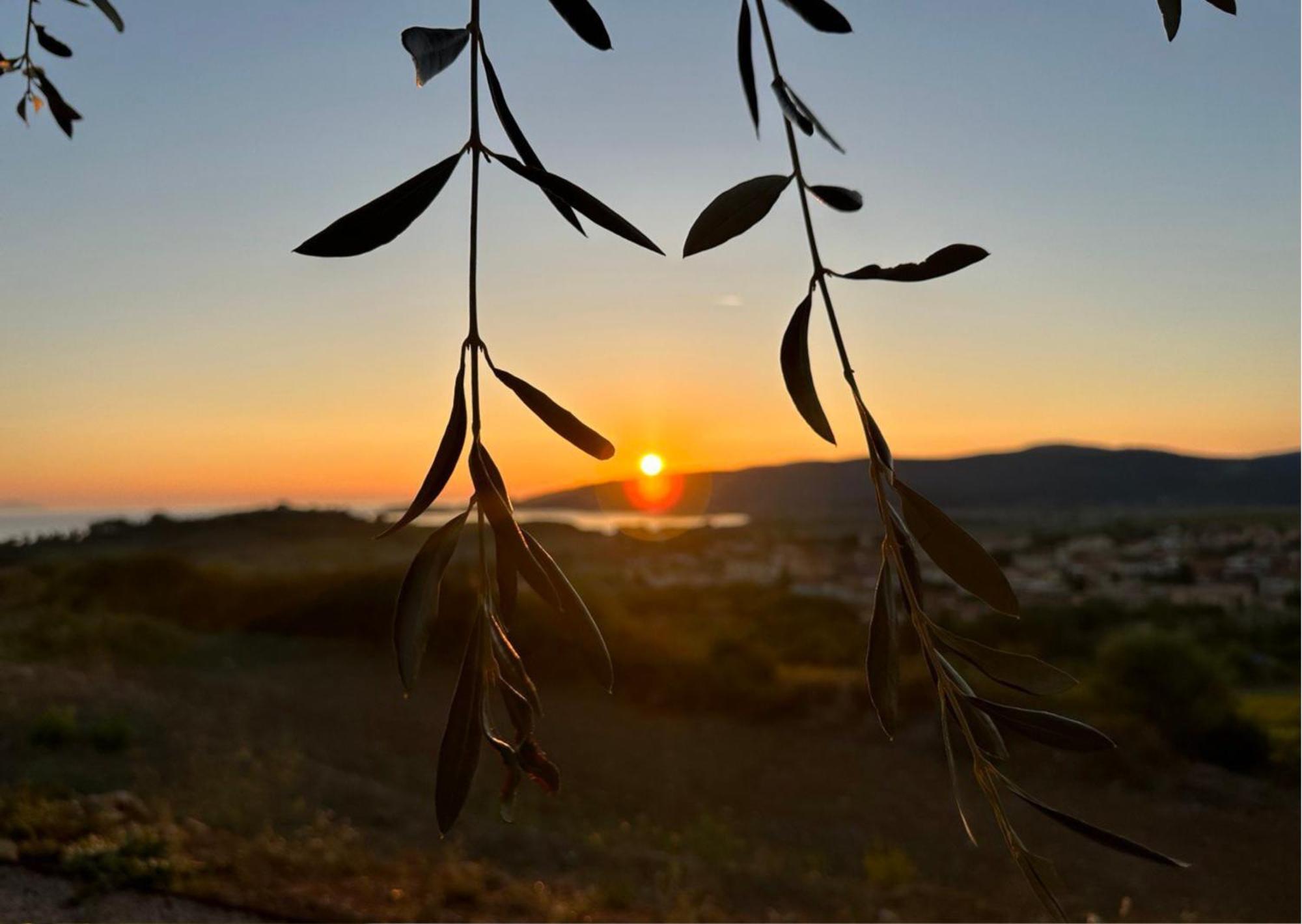 Agriturismo La Vista - Adults Only Fonteblanda Εξωτερικό φωτογραφία